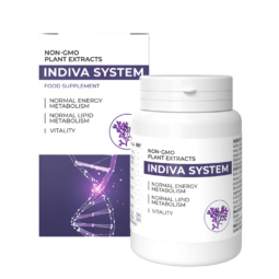 InDiva System