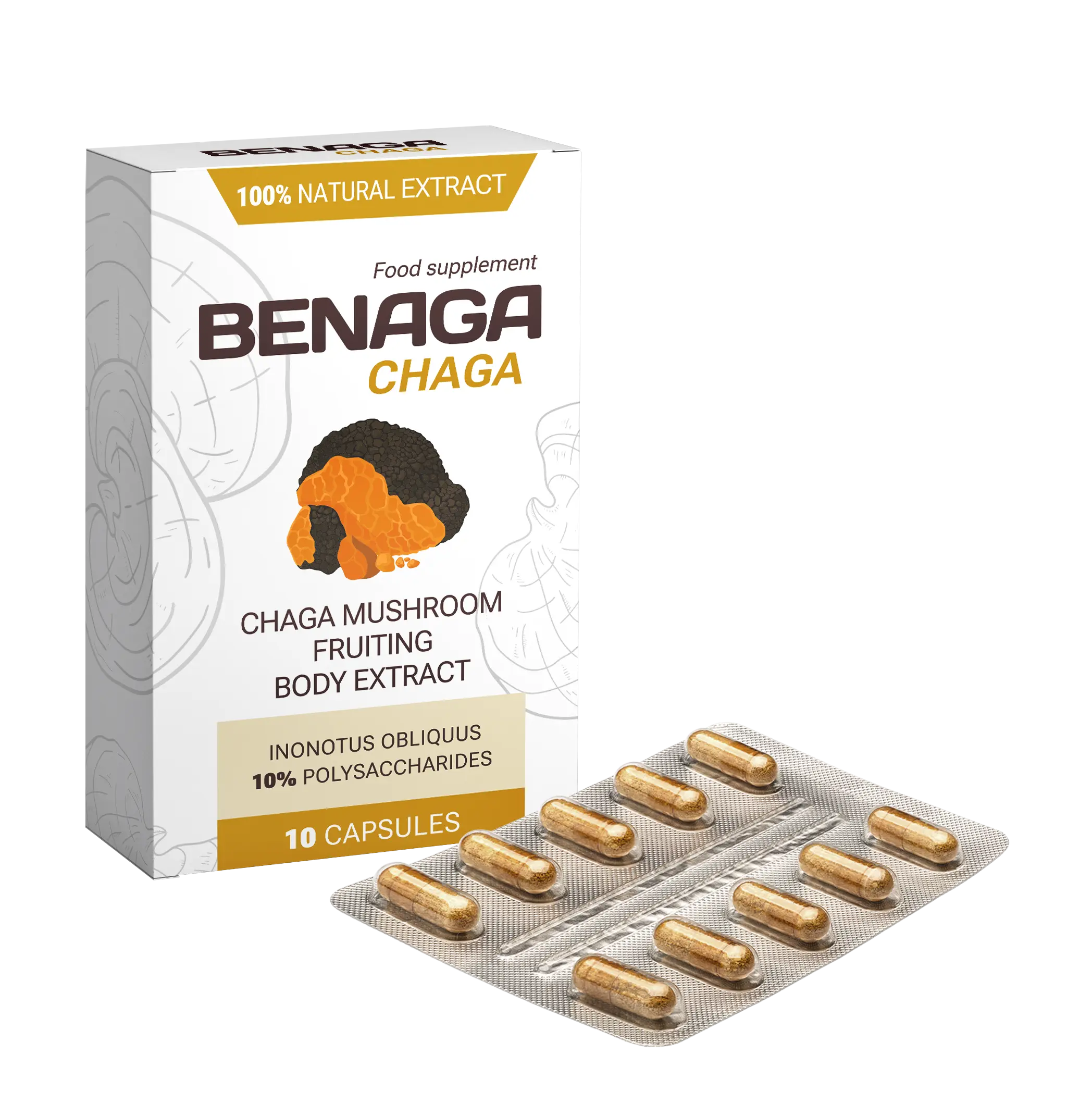 Benaga Chaga